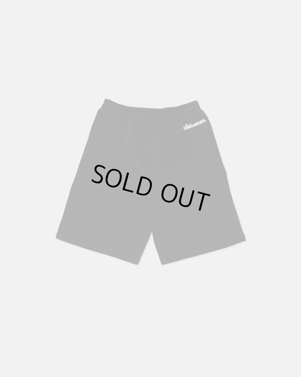 画像3: inBetweeners GM ショーツ (3)