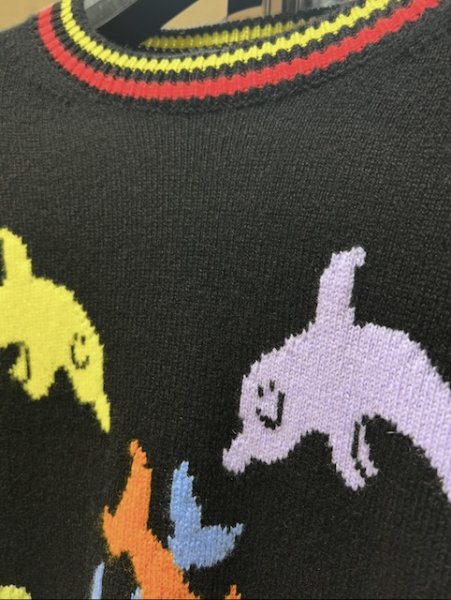 画像2: The Elder Statesman Dolhinity Wmns Crew (2)