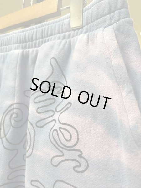 画像2: The Elder Statesman Daily Surf Dye Sweatshorts (2)