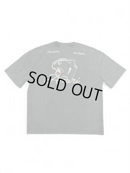 画像3: AMIRI Tシャツ (3)