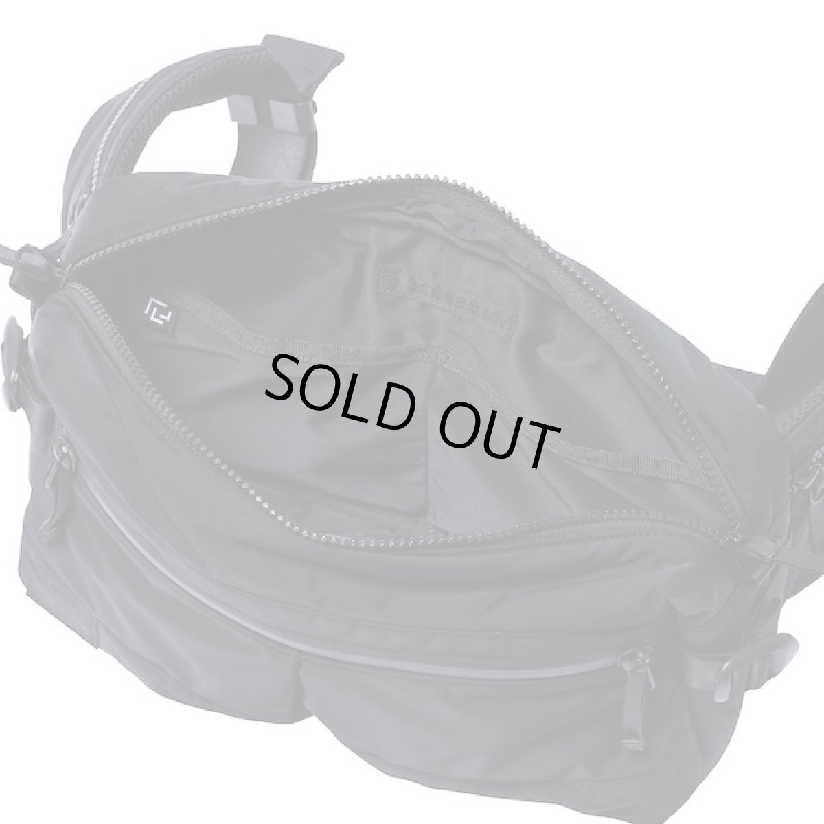 画像5: RAMIDUS　WAIST BAG (L) (5)