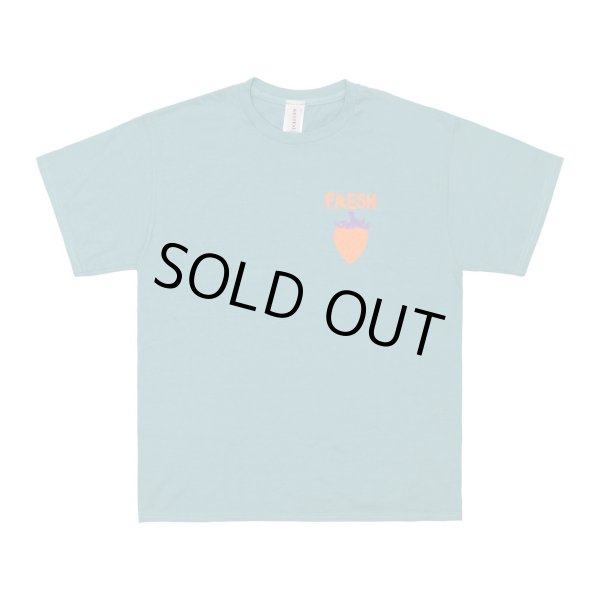 画像1: WESTFALL Fresh T-Shirt Ss (1)