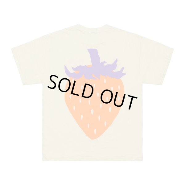 画像2: WESTFALL Fresh T-Shirt Ss (2)