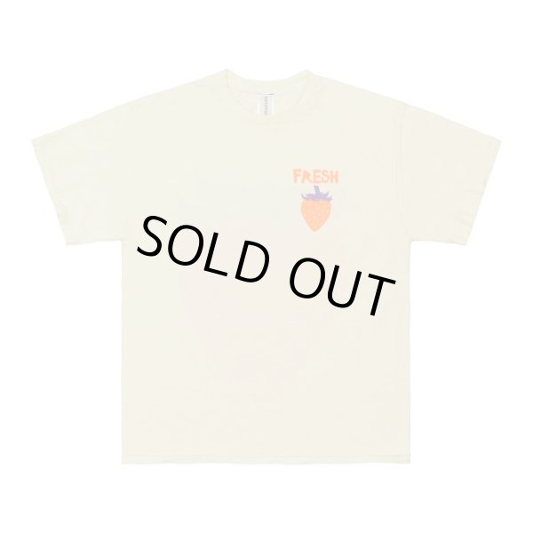 画像1: WESTFALL Fresh T-Shirt Ss (1)