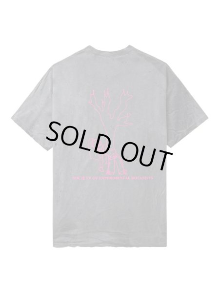 画像2: WESTFALL T-Shirt Ss (2)