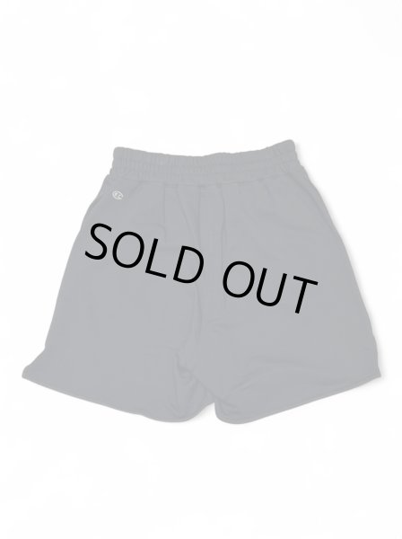 画像3: Rick Owens x Champion SHORTS (3)