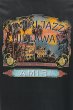 画像4: AMIRI Jazz Hideaway Tシャツ (4)