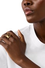 画像4: DIESEL dx1569710 Gold-Tone Stainless Steel Band Ring (4)