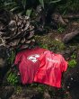 画像4: SAINT Mxxxxxx SS TEE/BUR (4)