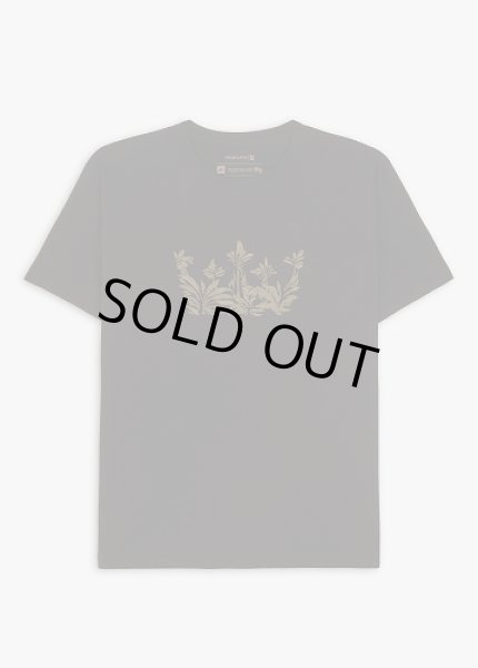 画像1: OSKLEN MEN'S Vintage Lazuli Crown T-shirt MC (1)