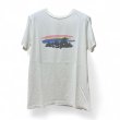 画像1: REMI RELIEF SP加工 "RAINBOW" TEE (1)