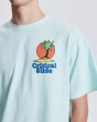 画像4: CRITICAL SLIDE / TCSS　Castaway Tee - Ice (4)