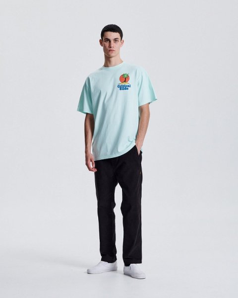 画像6: CRITICAL SLIDE / TCSS Castaway Tee - Ice (6)