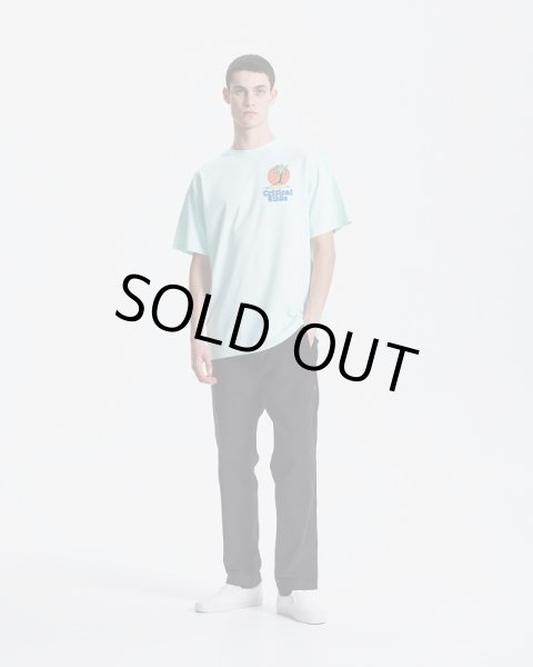 画像6: CRITICAL SLIDE / TCSS　Castaway Tee - Ice (6)