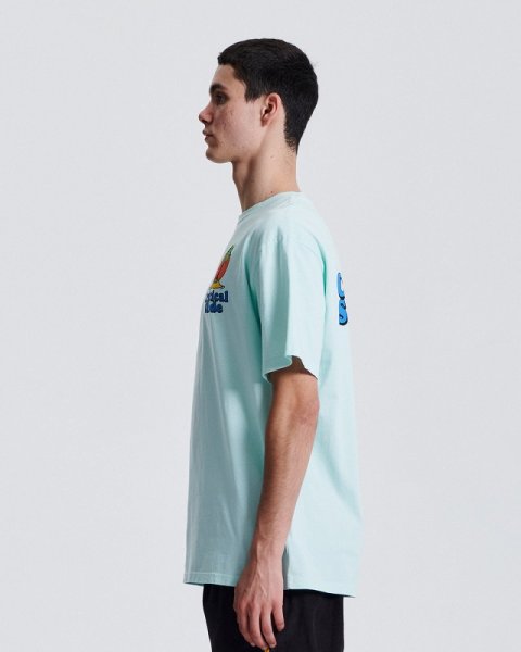 画像2: CRITICAL SLIDE / TCSS Castaway Tee - Ice (2)