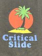 画像3: CRITICAL SLIDE / TCSS　Castaway Tee (3)