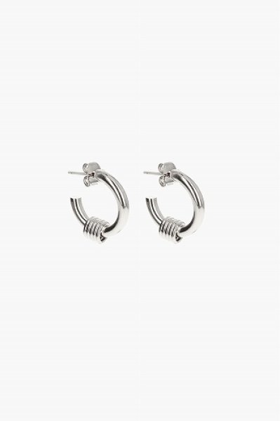 画像1: JUSTINE CLENQUET ジュスティーヌクランケ　CARRIE SILVER EARRINGS (1)