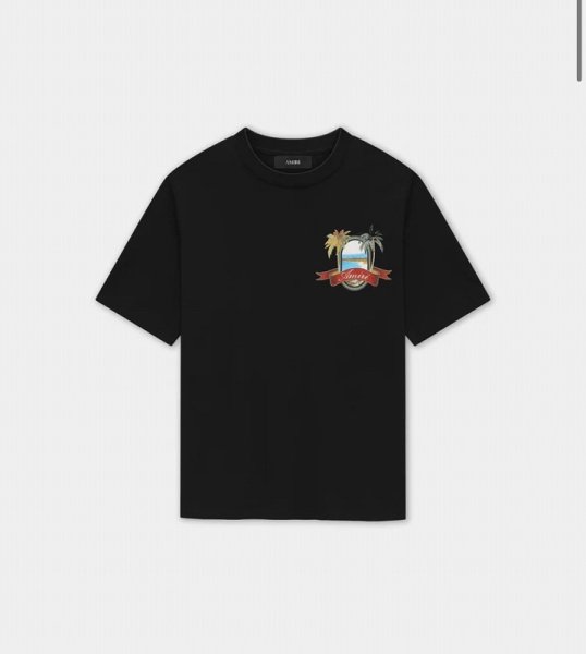 画像1: AMIRI MA PARADISE TEE (1)