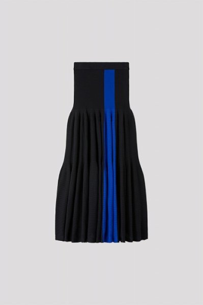 画像1: CFCL CASCADES SKIRT (1)