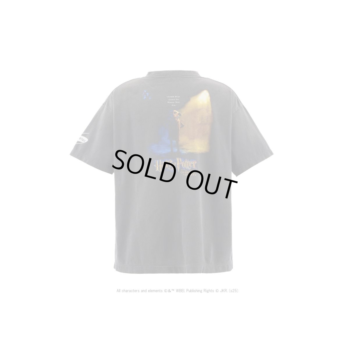 画像2: SAINT Mxxxxxx × Harry Potter HP_SS TEE/CHAMBER OF SCRT (2)