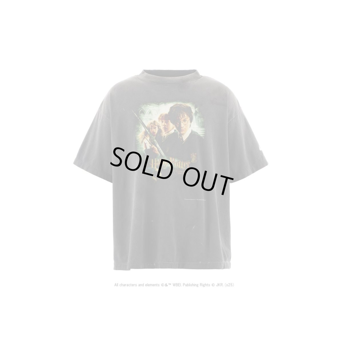 画像1: SAINT Mxxxxxx × Harry Potter HP_SS TEE/CHAMBER OF SCRT (1)