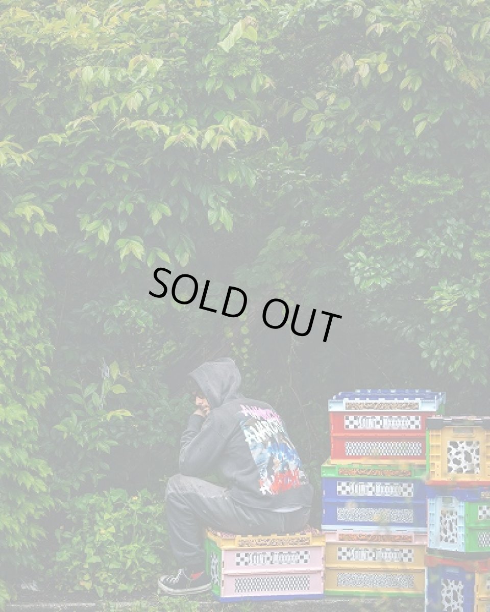 画像4: SAINT Mxxxxxx HOODIE/ANARCHY (4)