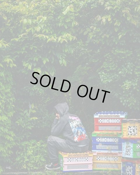 画像4: SAINT Mxxxxxx HOODIE/ANARCHY (4)