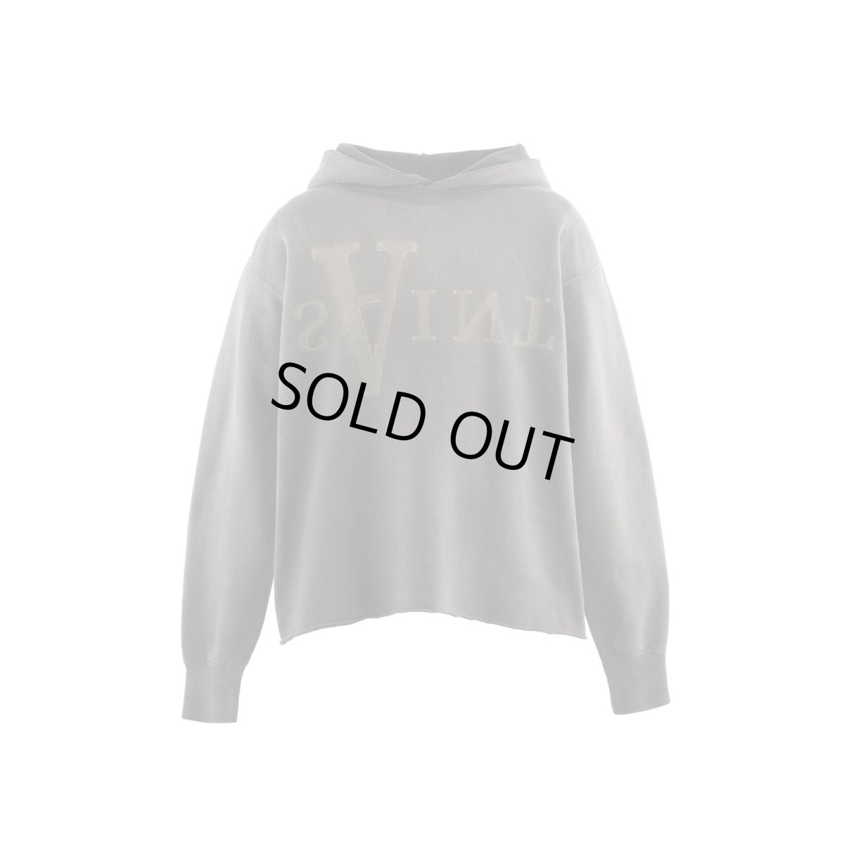 画像1: SAINT Mxxxxxx HOODIE/ANARCHY (1)