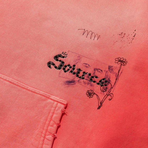 画像3: PALY HOLLYWOOD SOURCE FAMILY HOODIE (3)