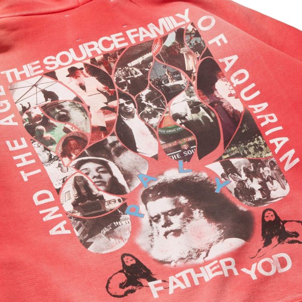 画像4: PALY HOLLYWOOD SOURCE FAMILY HOODIE (4)