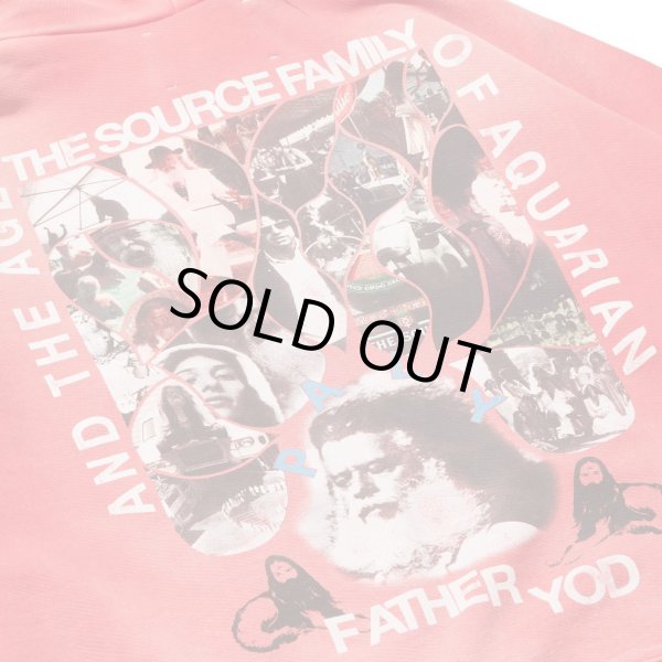 画像4: PALY HOLLYWOOD SOURCE FAMILY HOODIE (4)