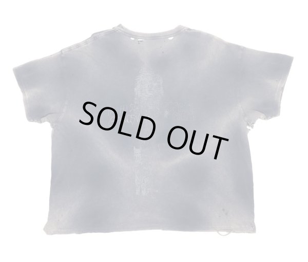 画像4: PALY HOLLYWOOD MAIDSTONE TEE (4)