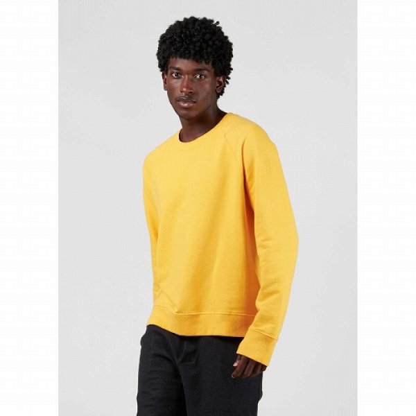 画像1: OSKLEN MEN'S オスクレン Raglan Sweatshirt Color Comfy スウェット (1)