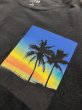 画像2: OSKLEN MEN'S Soft Used Sunset T-shirt (2)