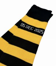 画像2: TSTS STRIPED SOCKS (2)