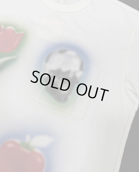 画像4: TSTS ORGANIC COTTON MISTY POCKET T-SHIRT (4)