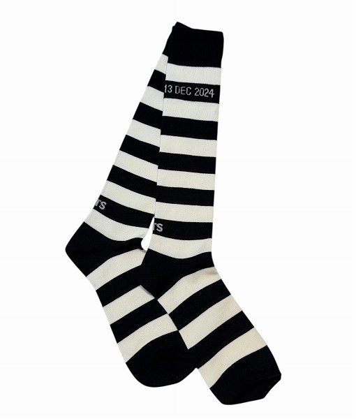 画像1: TSTS STRIPED SOCKS (1)