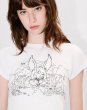 画像7: KENZO Paris (WOMEN'S) カラーリング クロップド コットン Tシャツ (7)