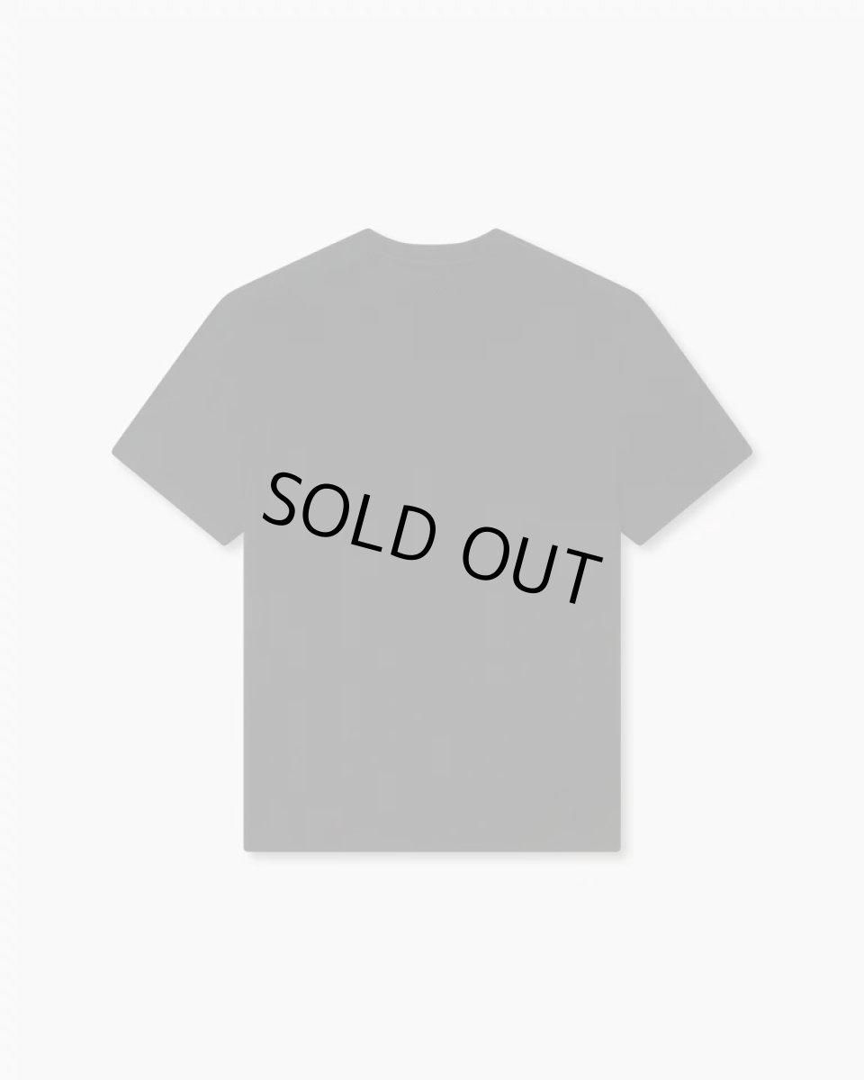 画像2: 'KENZO Wild Tiger' エンブロイダリー Tシャツ イン コットン (2)