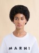 画像4: MARNI ロゴTシャツ (4)