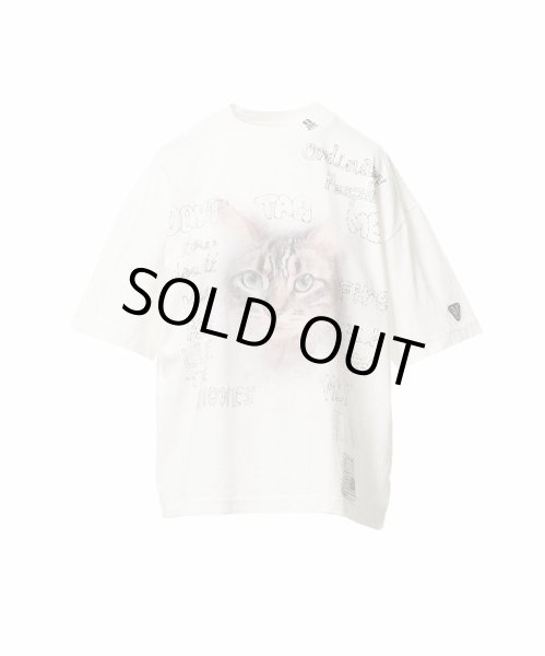 画像1: Maison MIHARA YASUHIRO キャットプリントTシャツ (1)