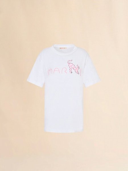 画像1: MARNI Animal Alphabetロゴ Tシャツ (1)