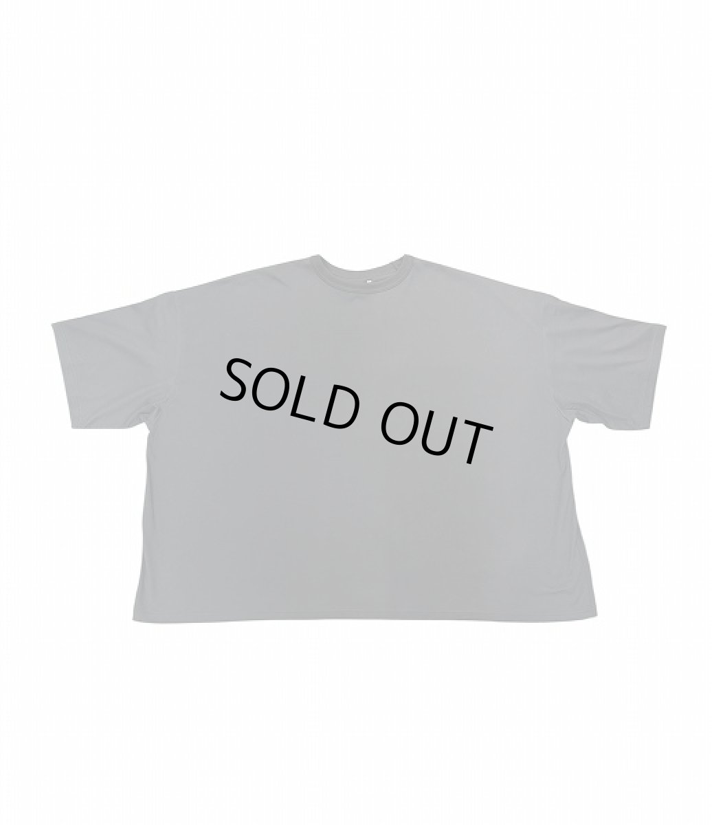 画像1: SEEALL  GULLIVER T-SHIRT (1)