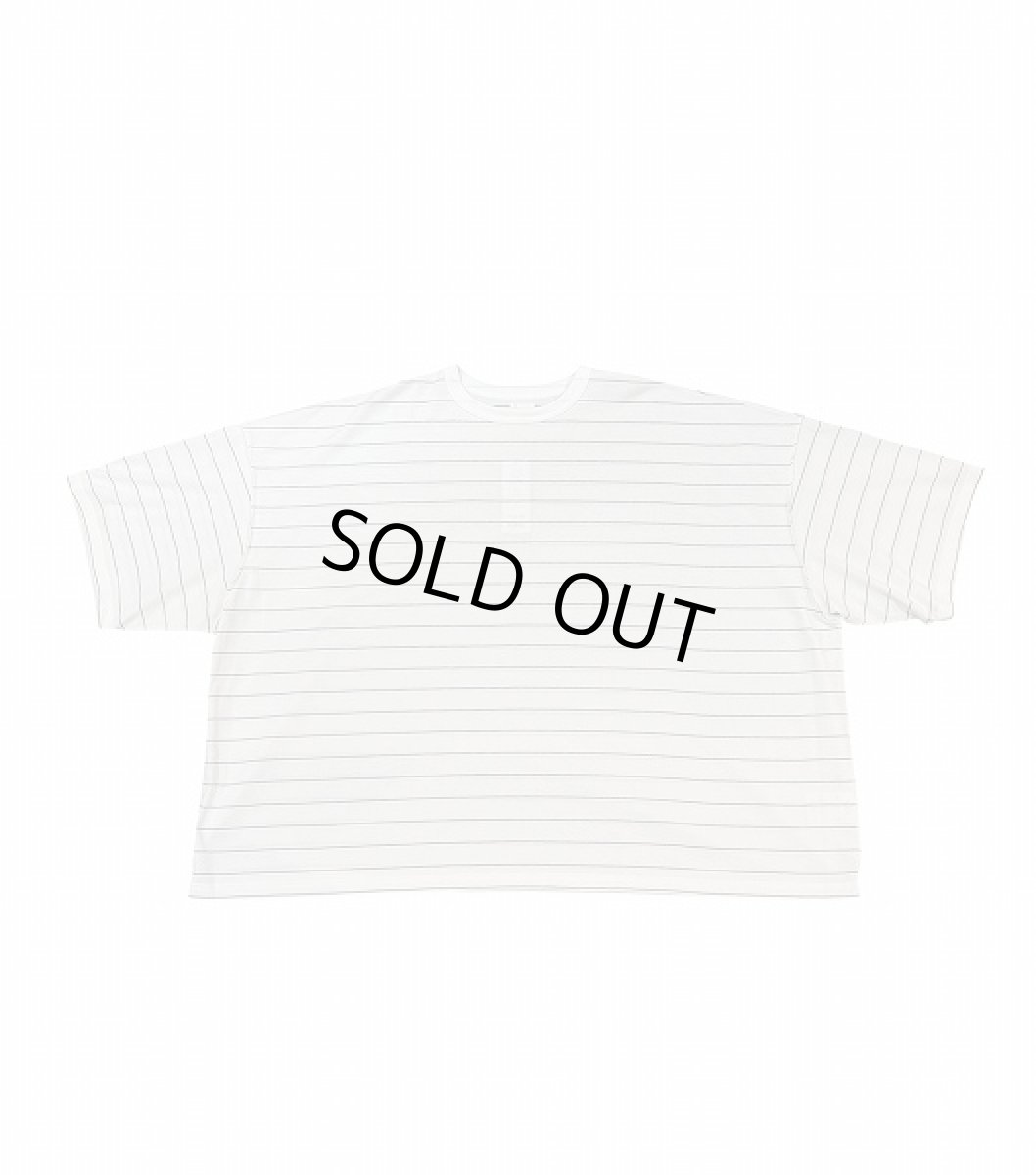 画像1: SEEALL  GULLIVER T-SHIRT (1)