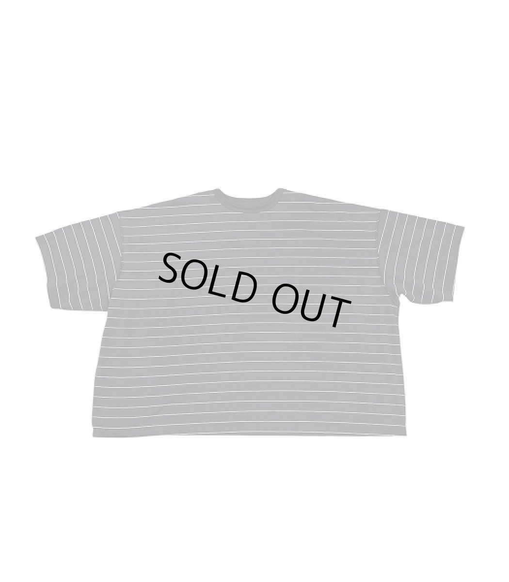 画像1: SEEALL  GULLIVER T-SHIRT (1)