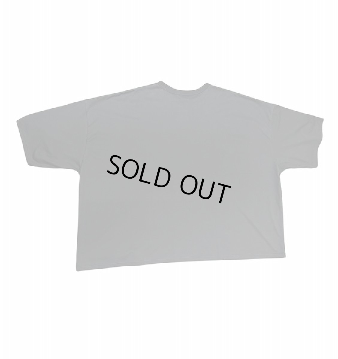 画像2: SEEALL  GULLIVER T-SHIRT (2)