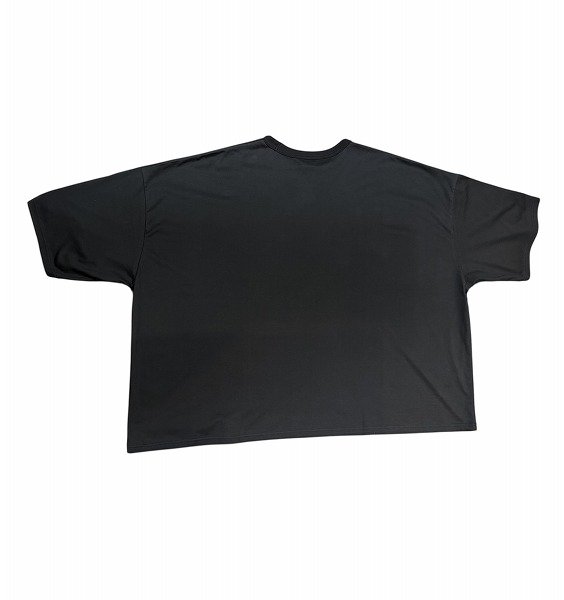 画像2: SEEALL  GULLIVER T-SHIRT (2)