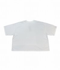 画像1: SEEALL  GULLIVER T-SHIRT (1)