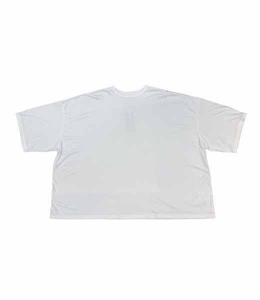 画像1: SEEALL  GULLIVER T-SHIRT (1)