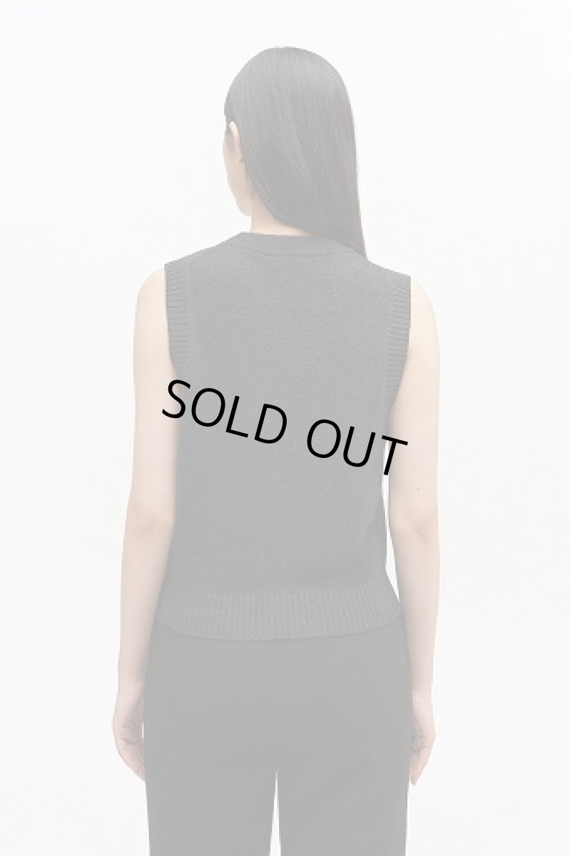 画像3: 【GANNI ガニー】Graphic print wool vest (3)